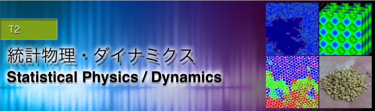 T2 Statistical Physics - Dynamics
