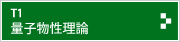 T1 量子物性理論