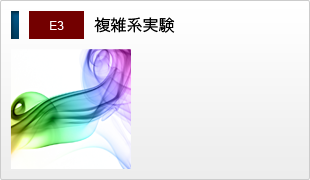 E3 複雑系実験