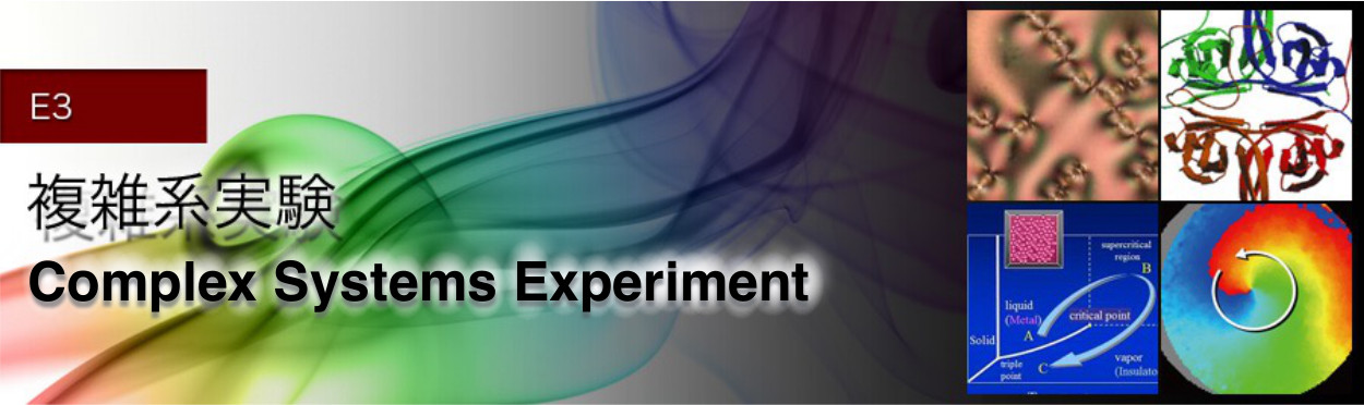 E3 Complex Systems (Experiment)