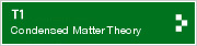 T1 Condensed Matter (Theory)